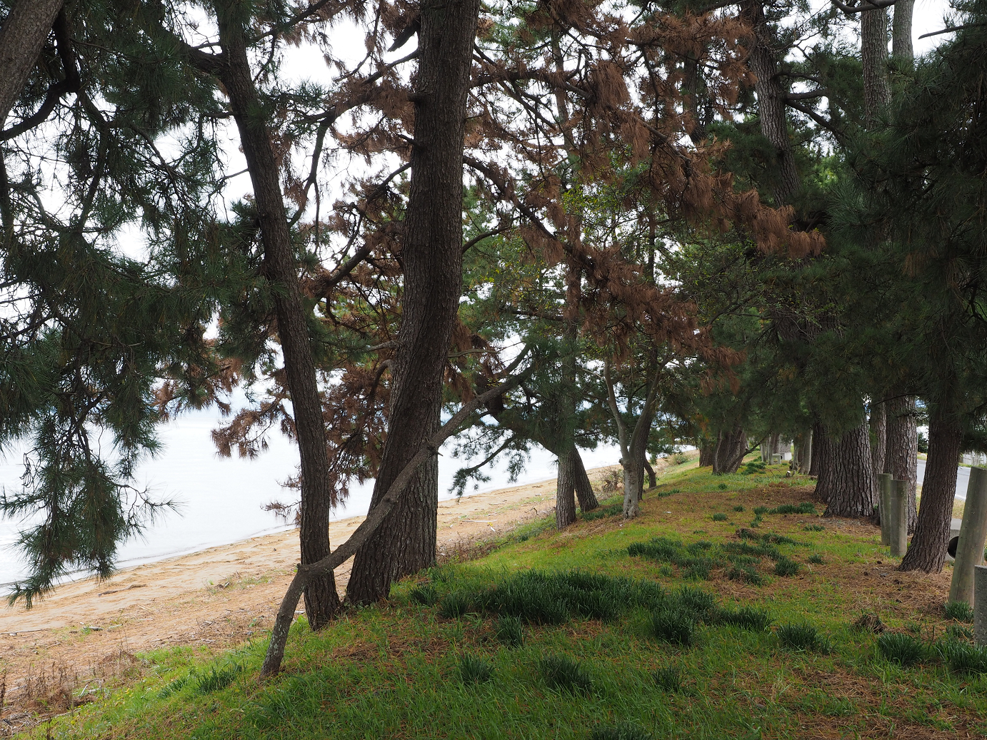 PB140524.jpg