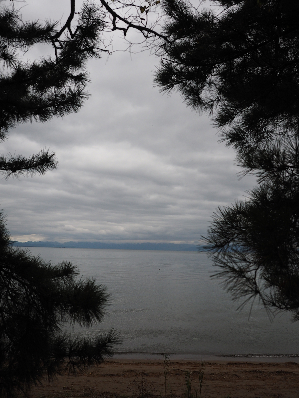 PB140529.jpg