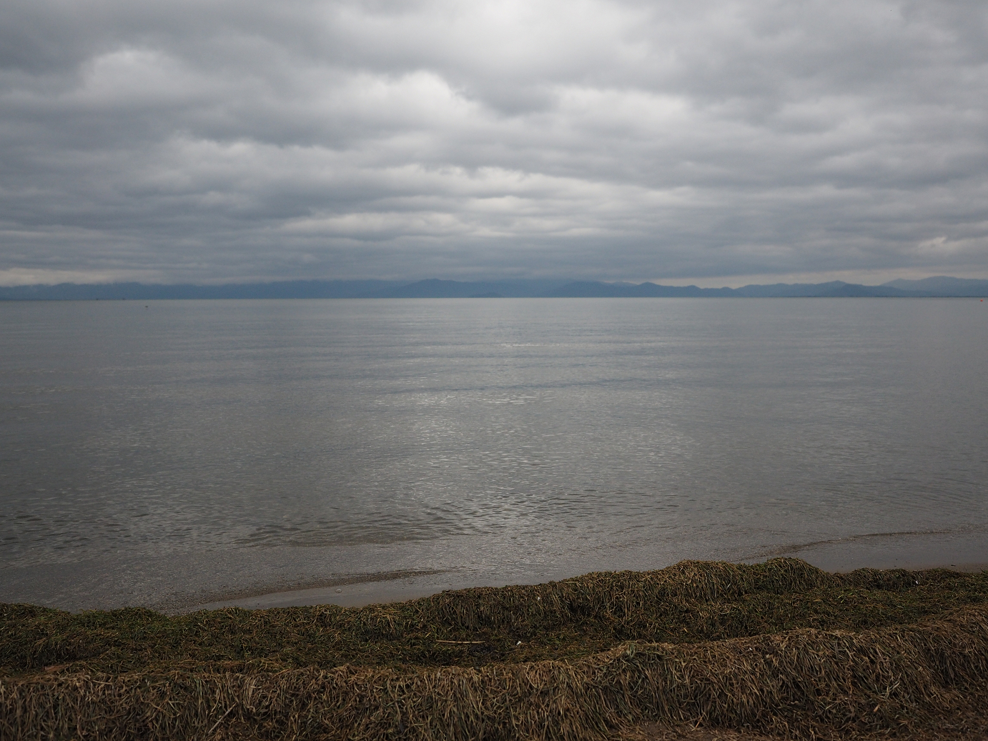 PB140542.jpg