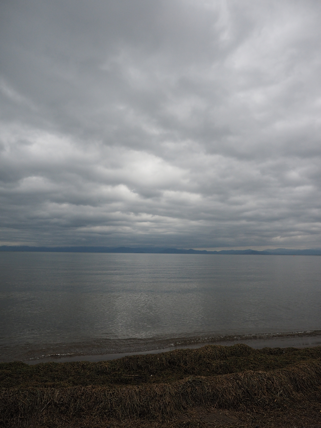 PB140543.jpg