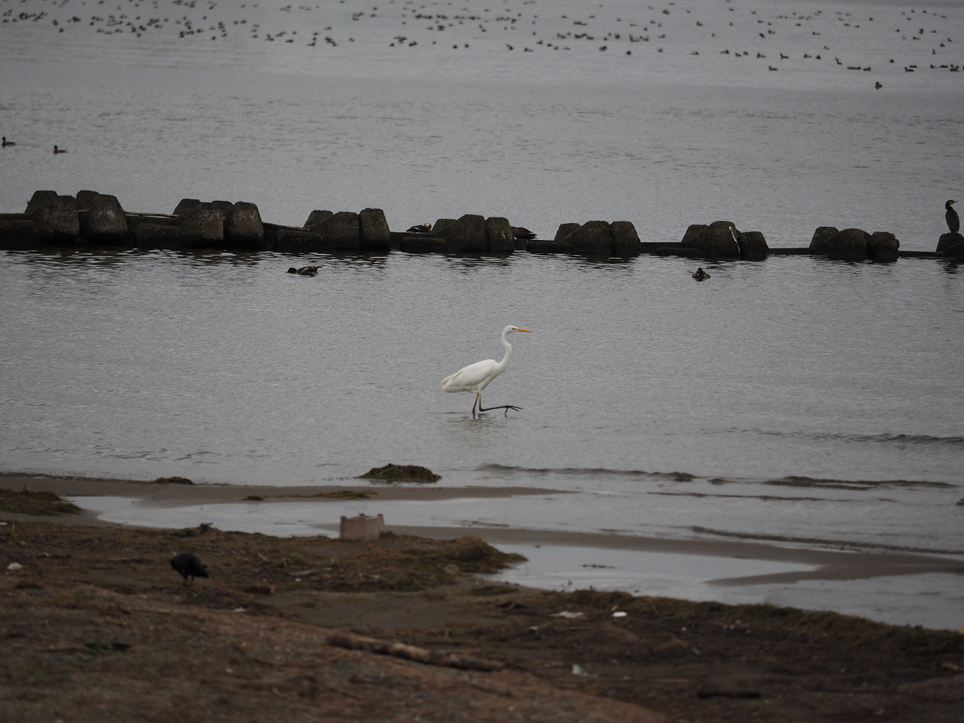 PB140554.jpg
