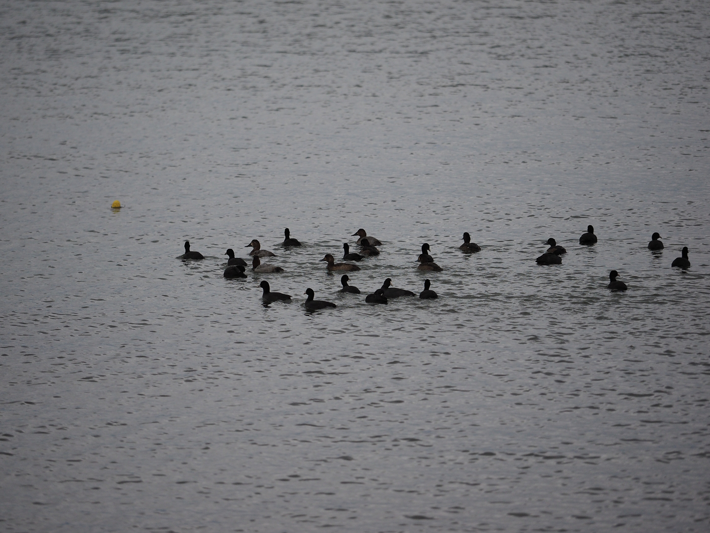 PB140557.jpg