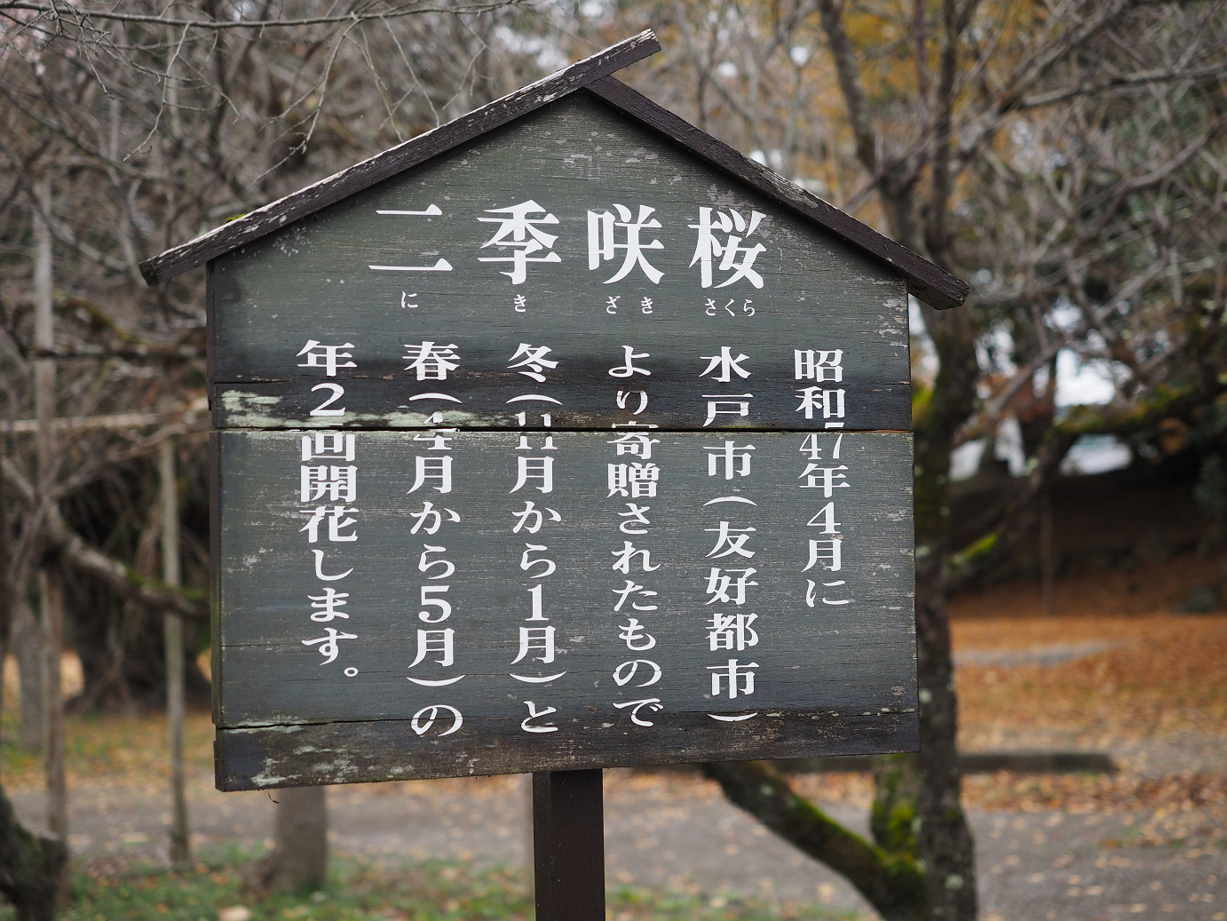 PB140649.jpg