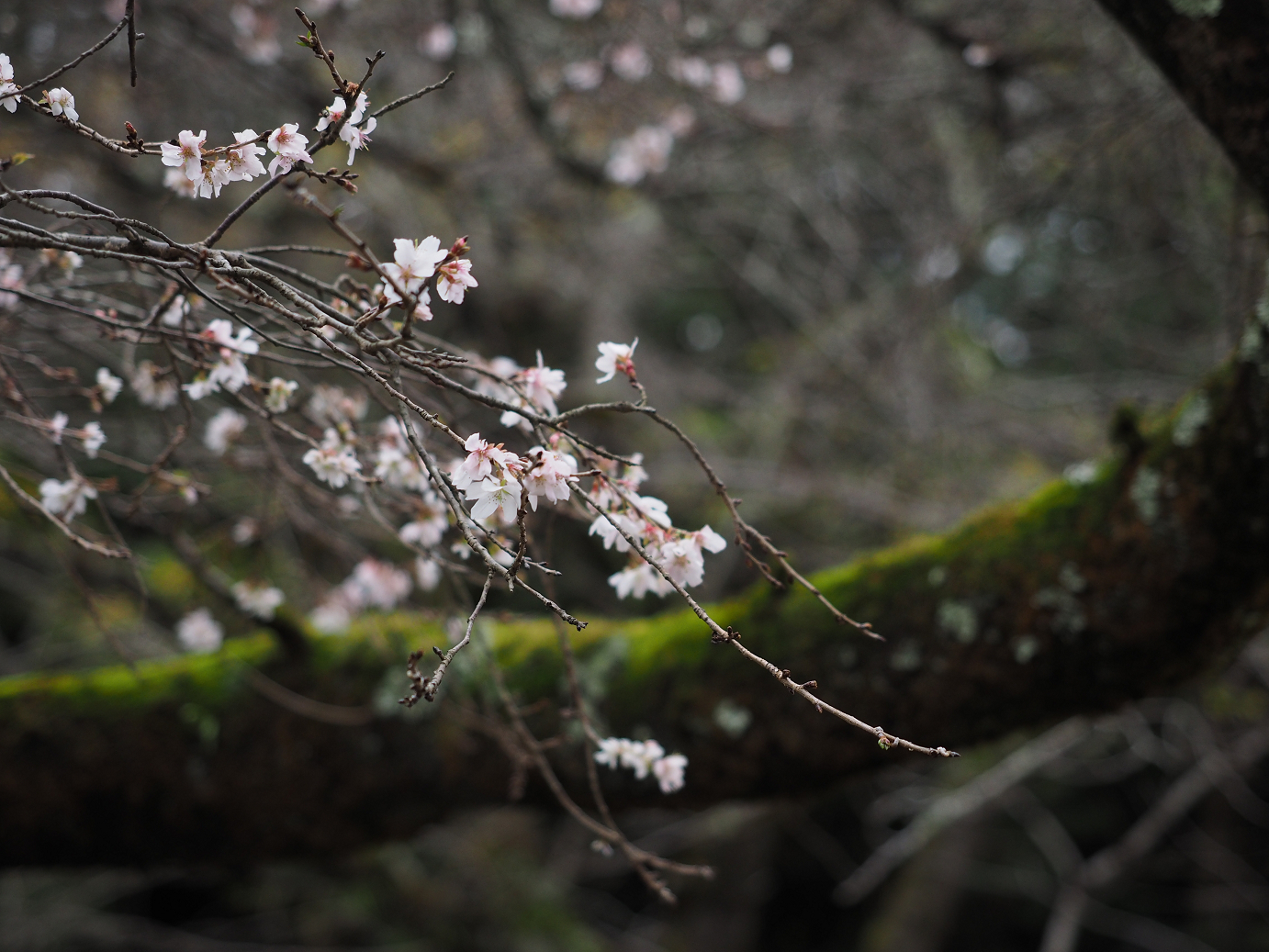 PB140652.jpg