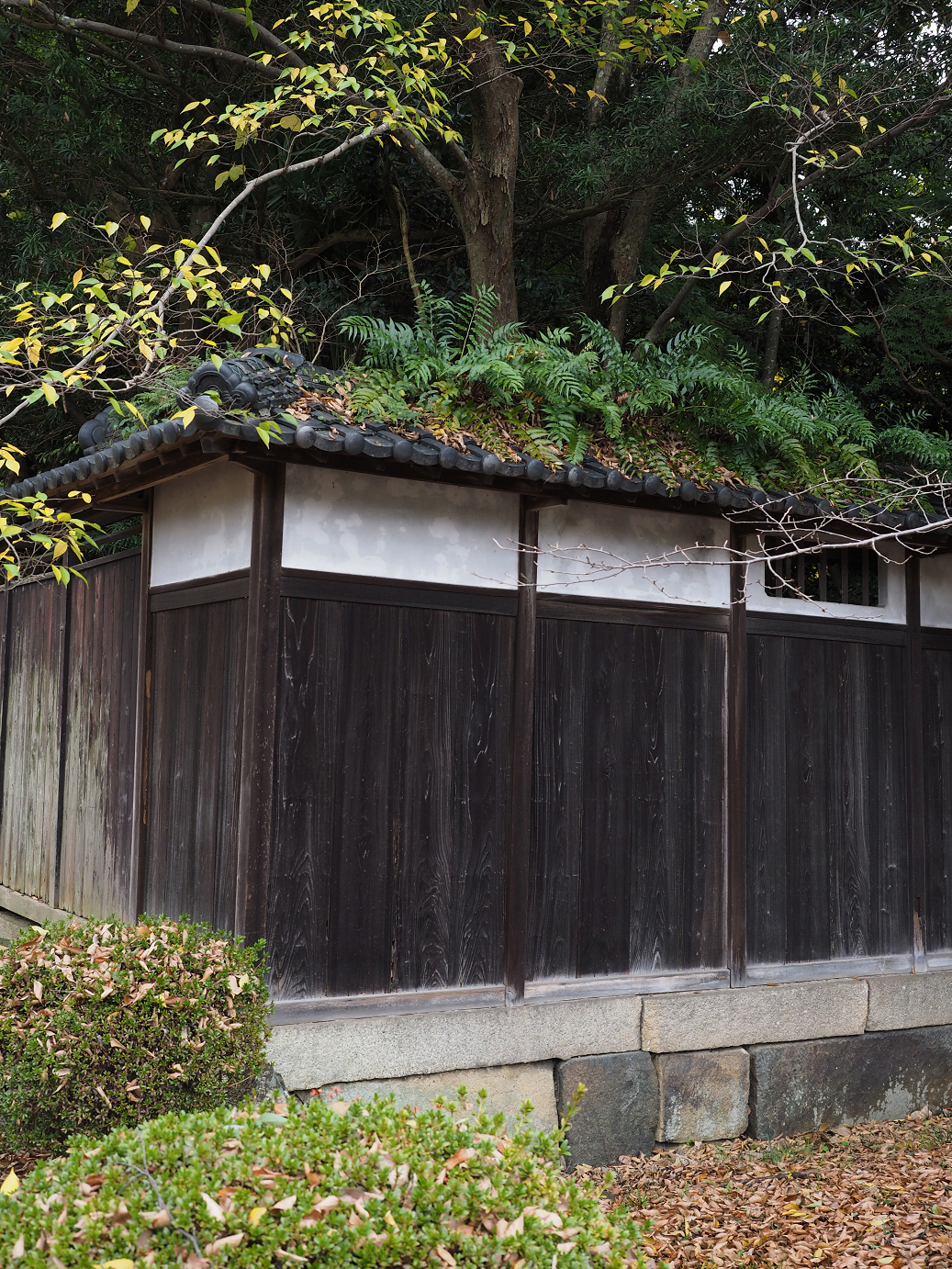 PB140655.jpg