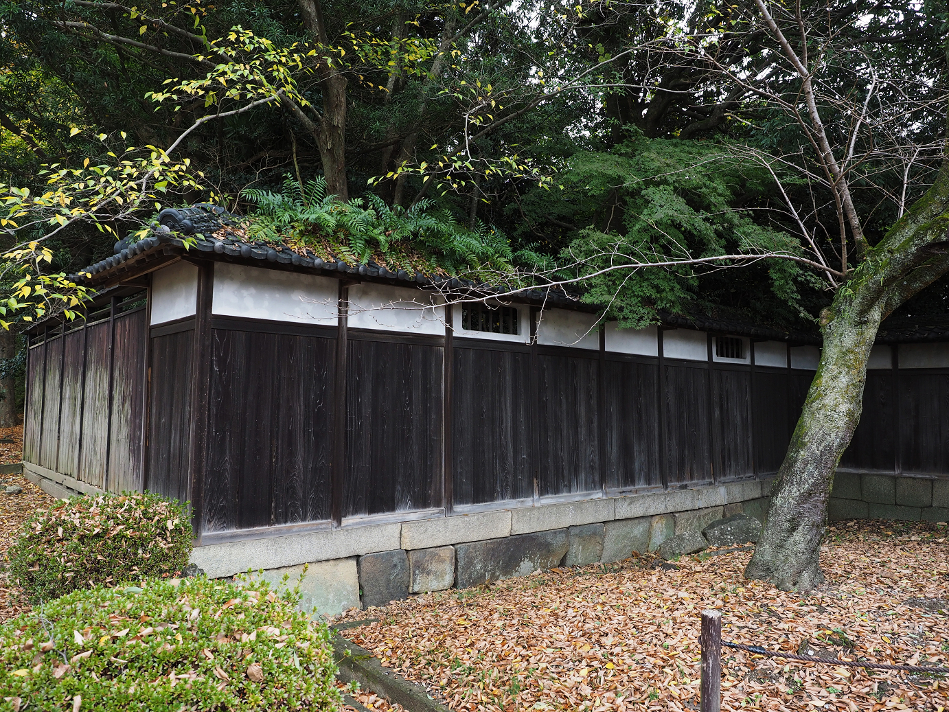 PB140656.jpg