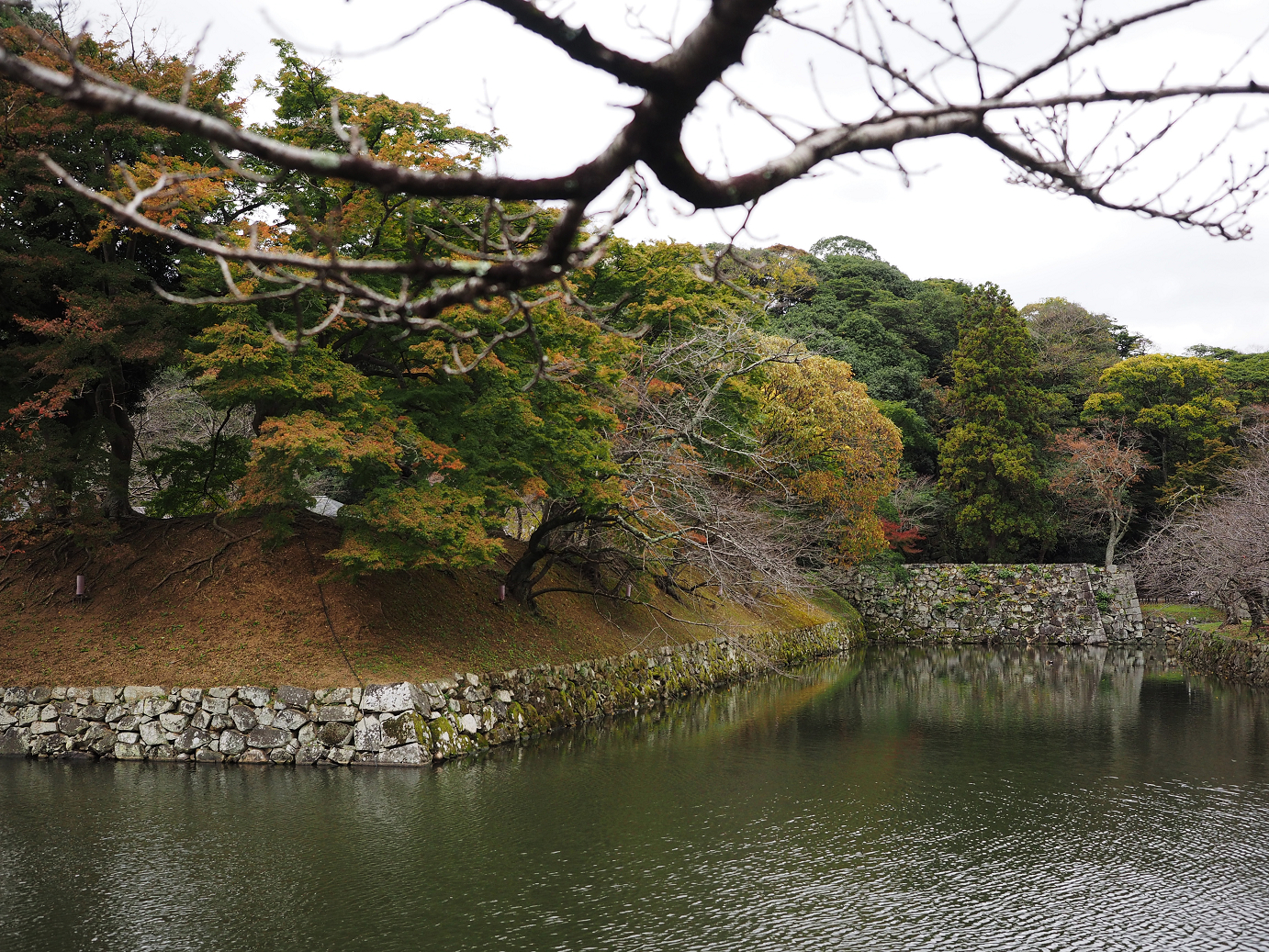 PB140663.jpg