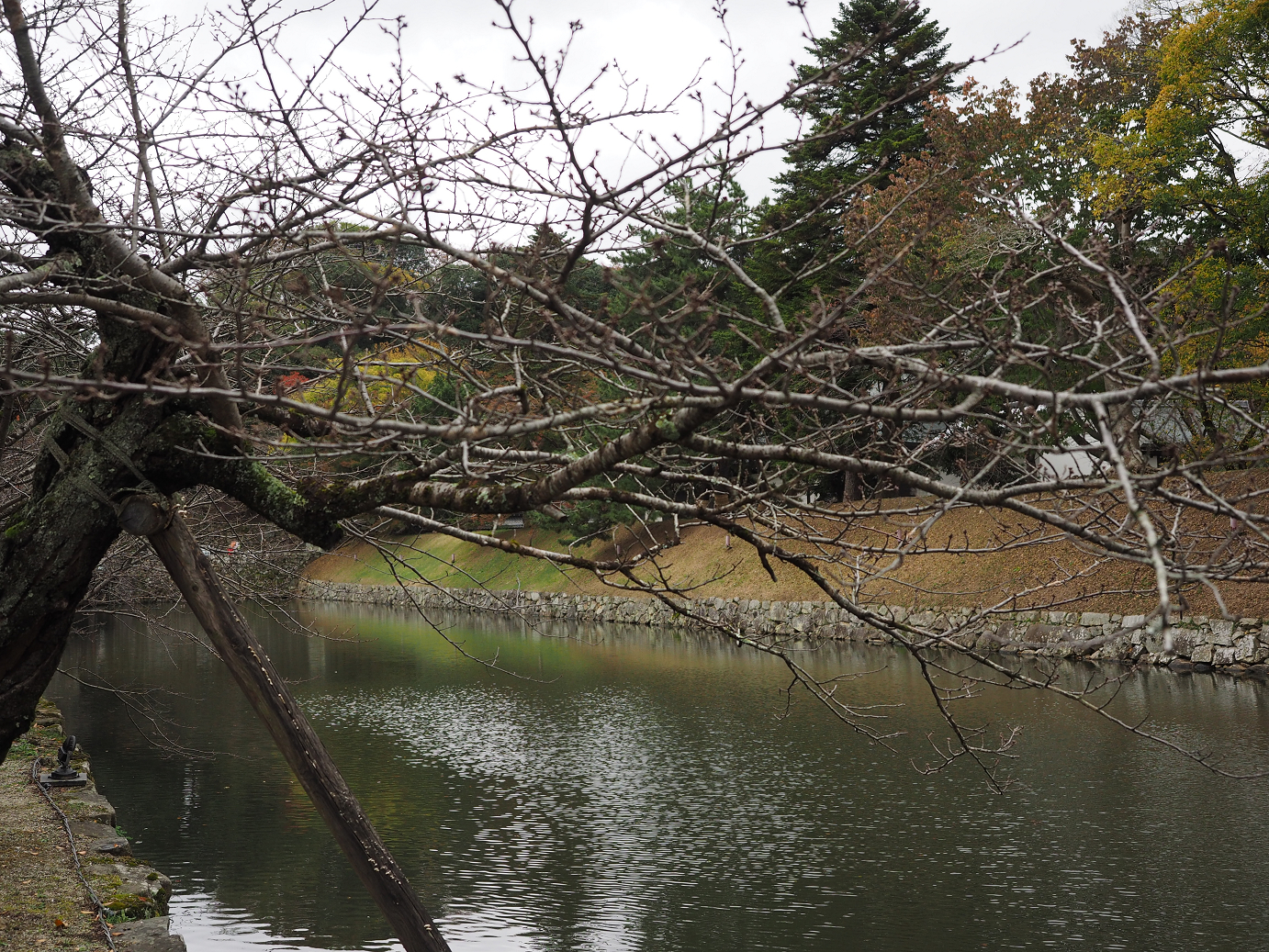 PB140668.jpg
