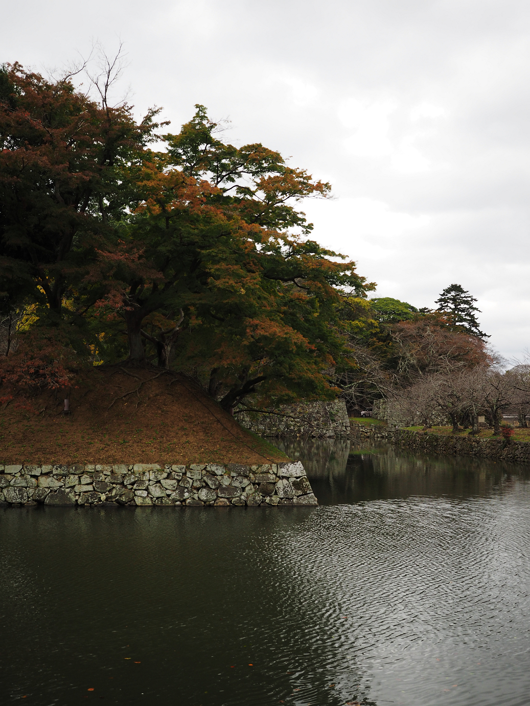 PB140669.jpg