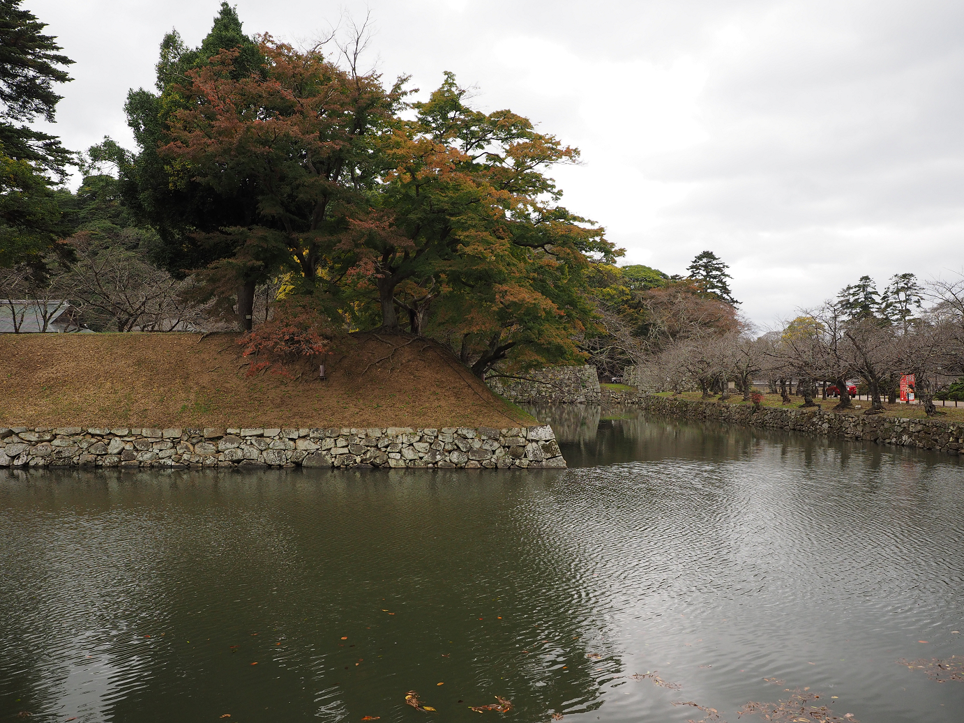 PB140670.jpg
