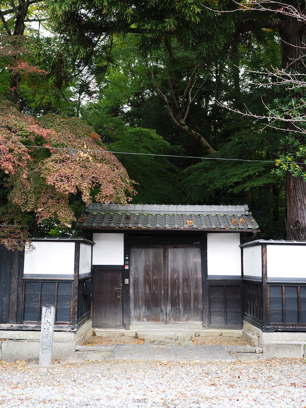 PB140671.jpg