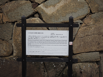 PB140684_thumb.png
