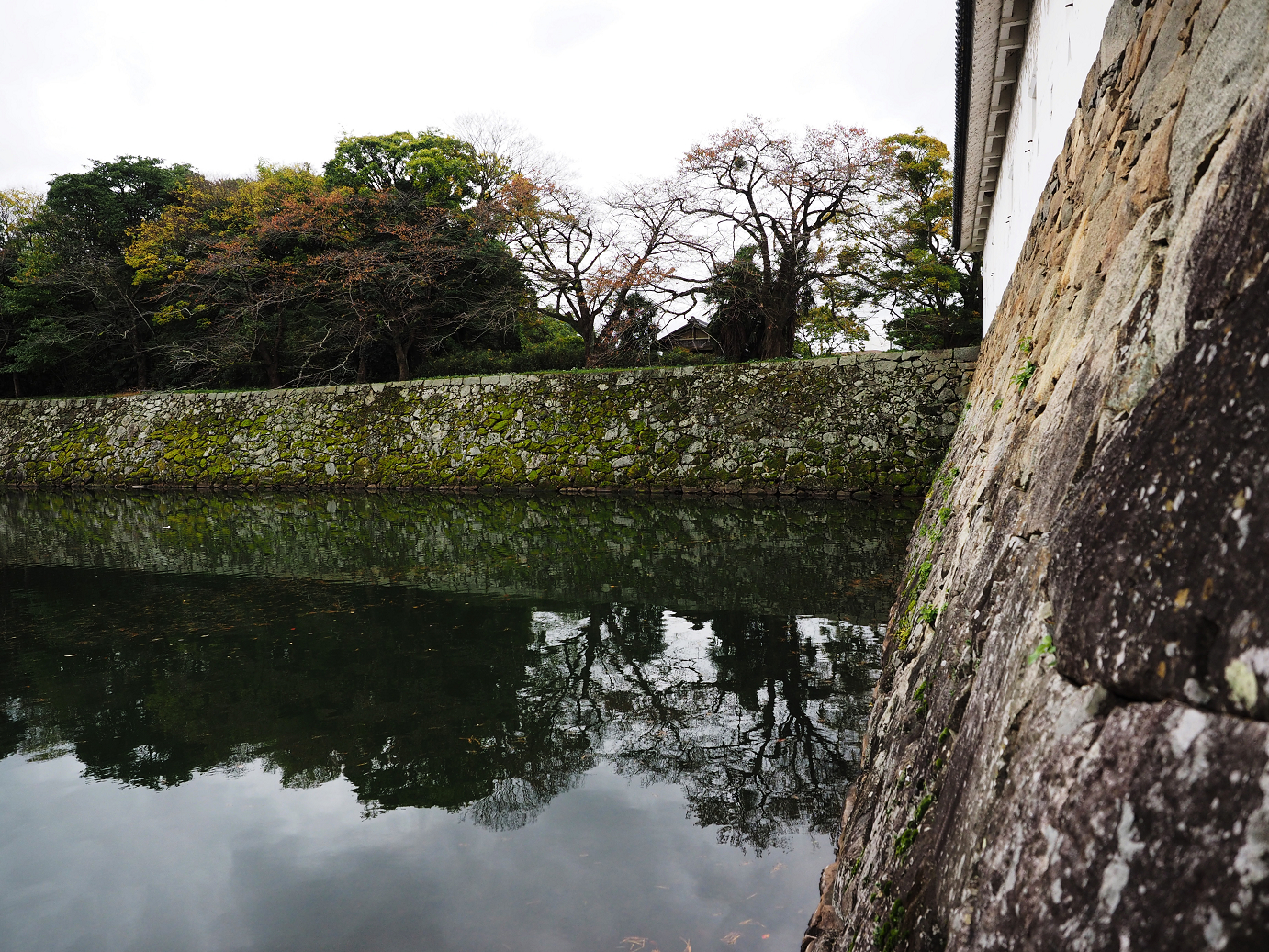 PB140689.jpg