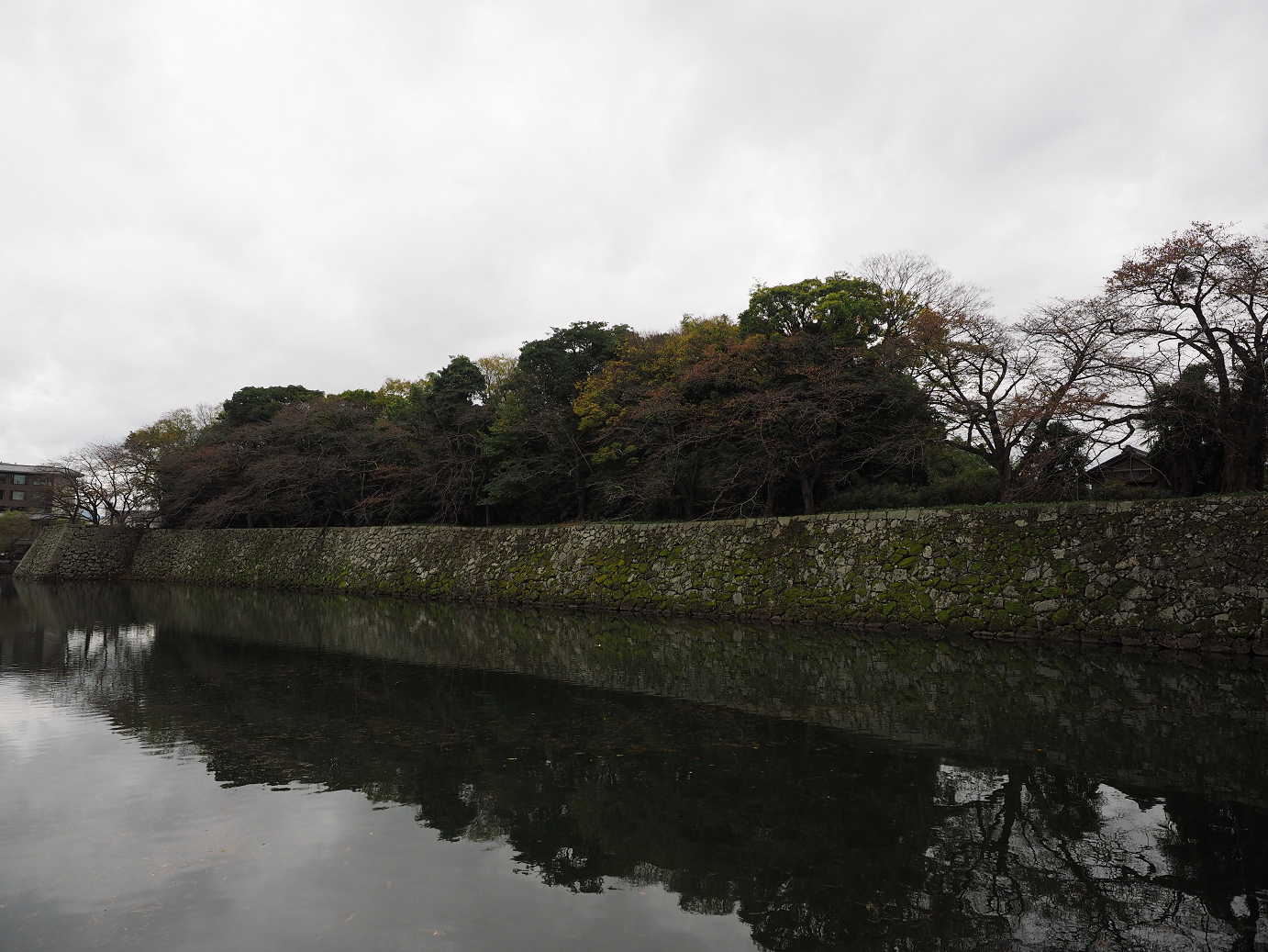 PB140692.jpg