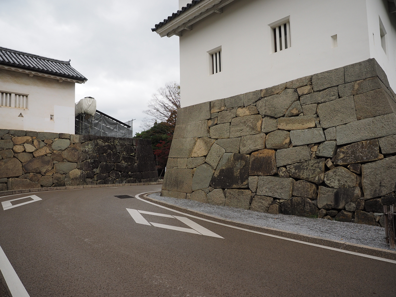 PB140696.jpg
