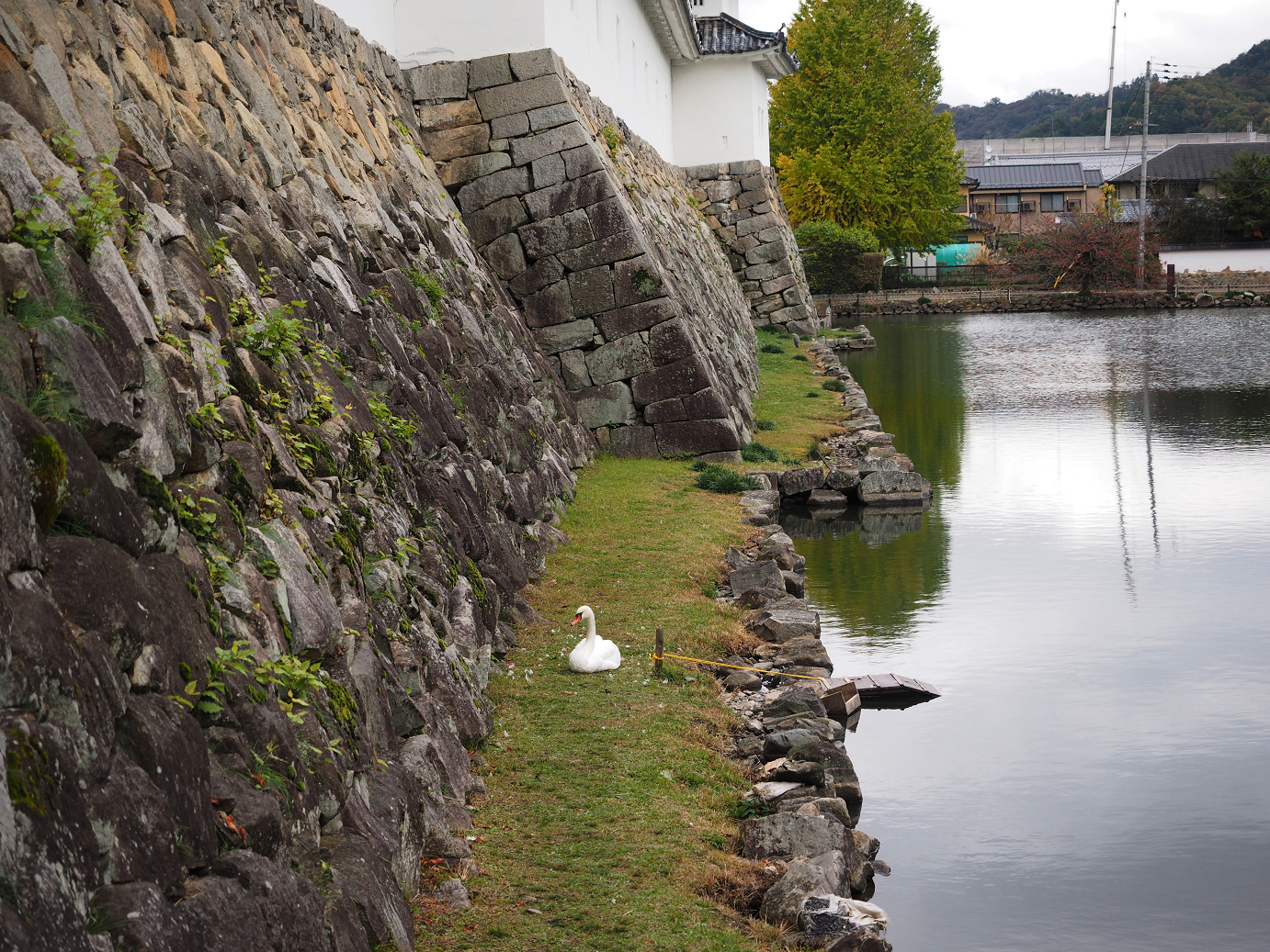 PB140699.jpg