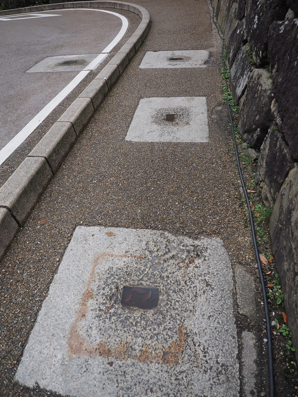 PB140718.jpg