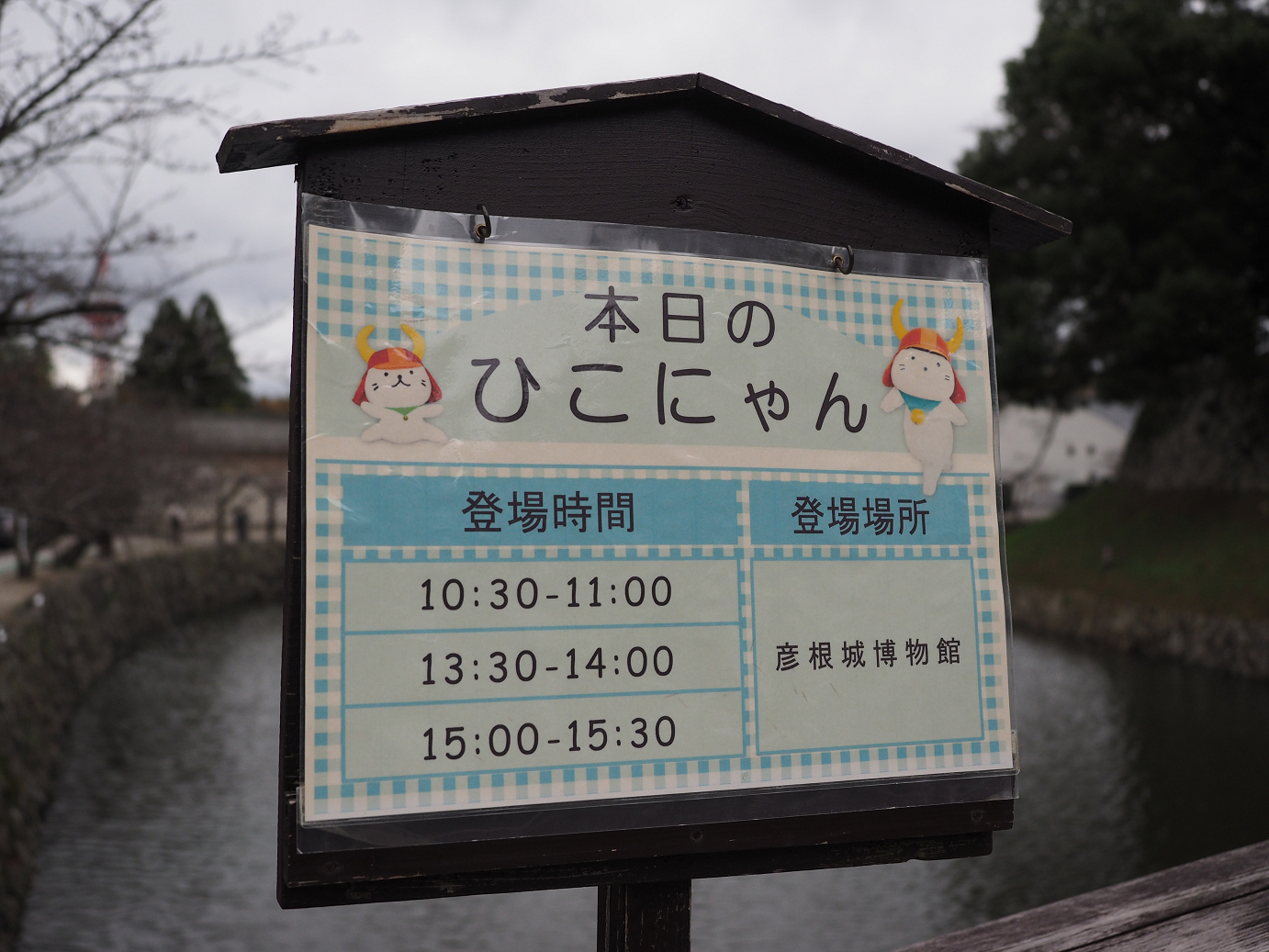 PB140739.jpg
