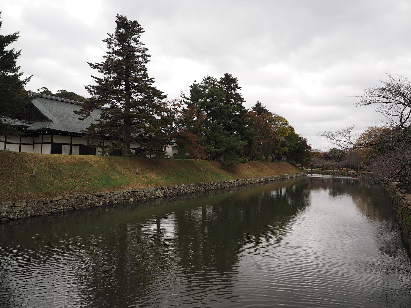 PB140740.jpg