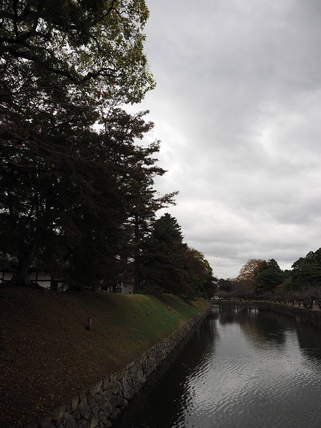 PB140743.jpg