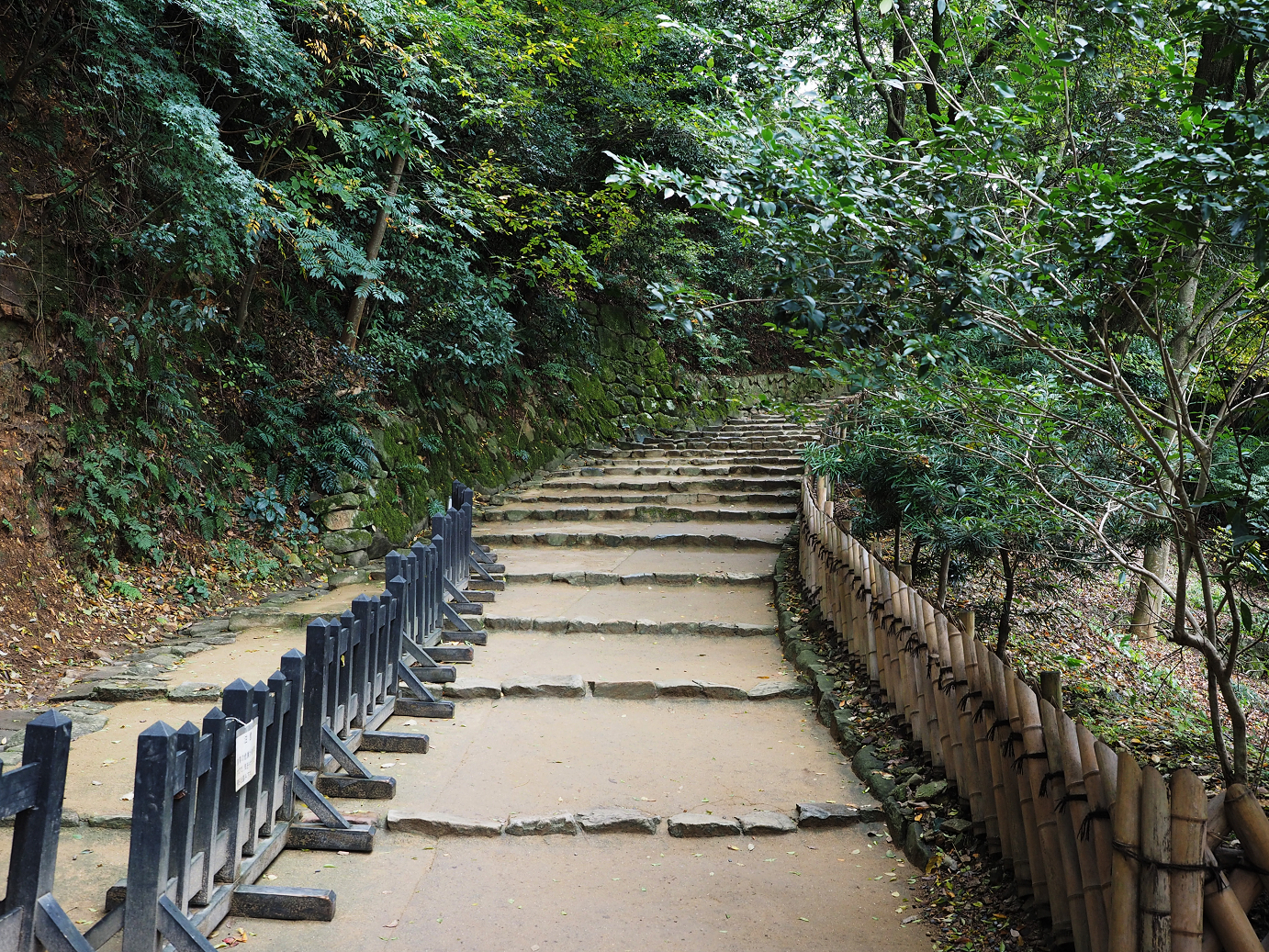 PB140749.jpg