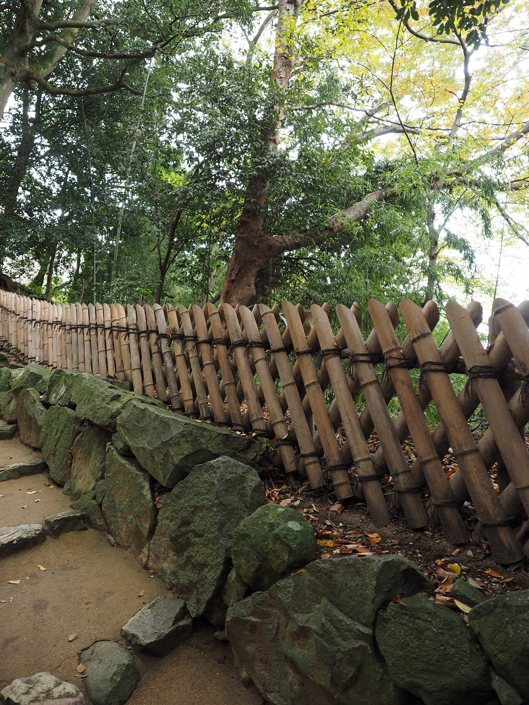 PB140754.jpg