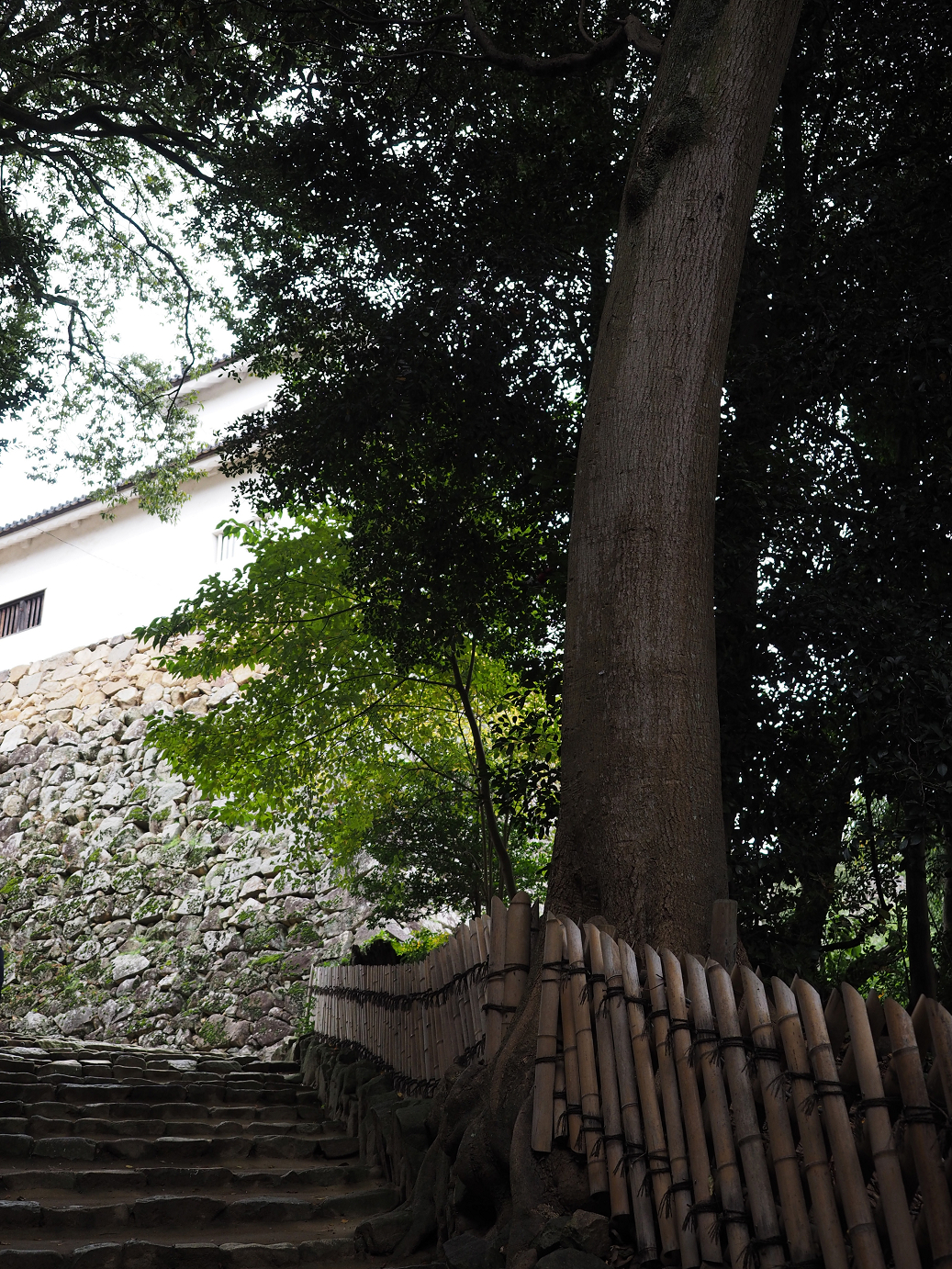 PB140755.jpg