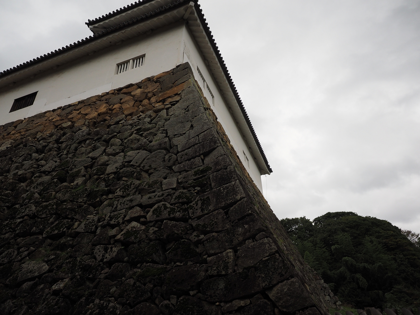 PB140760.jpg