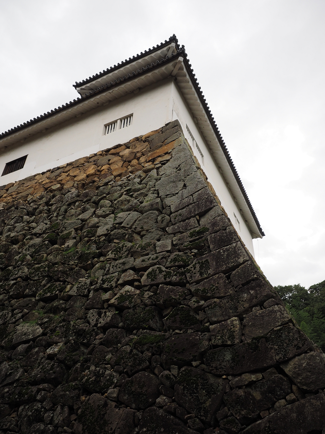 PB140761.jpg