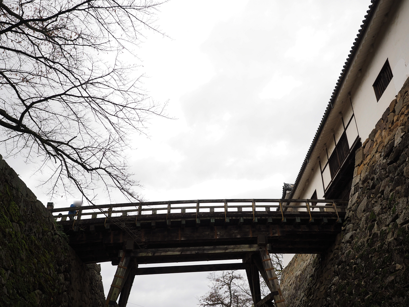 PB140762.jpg
