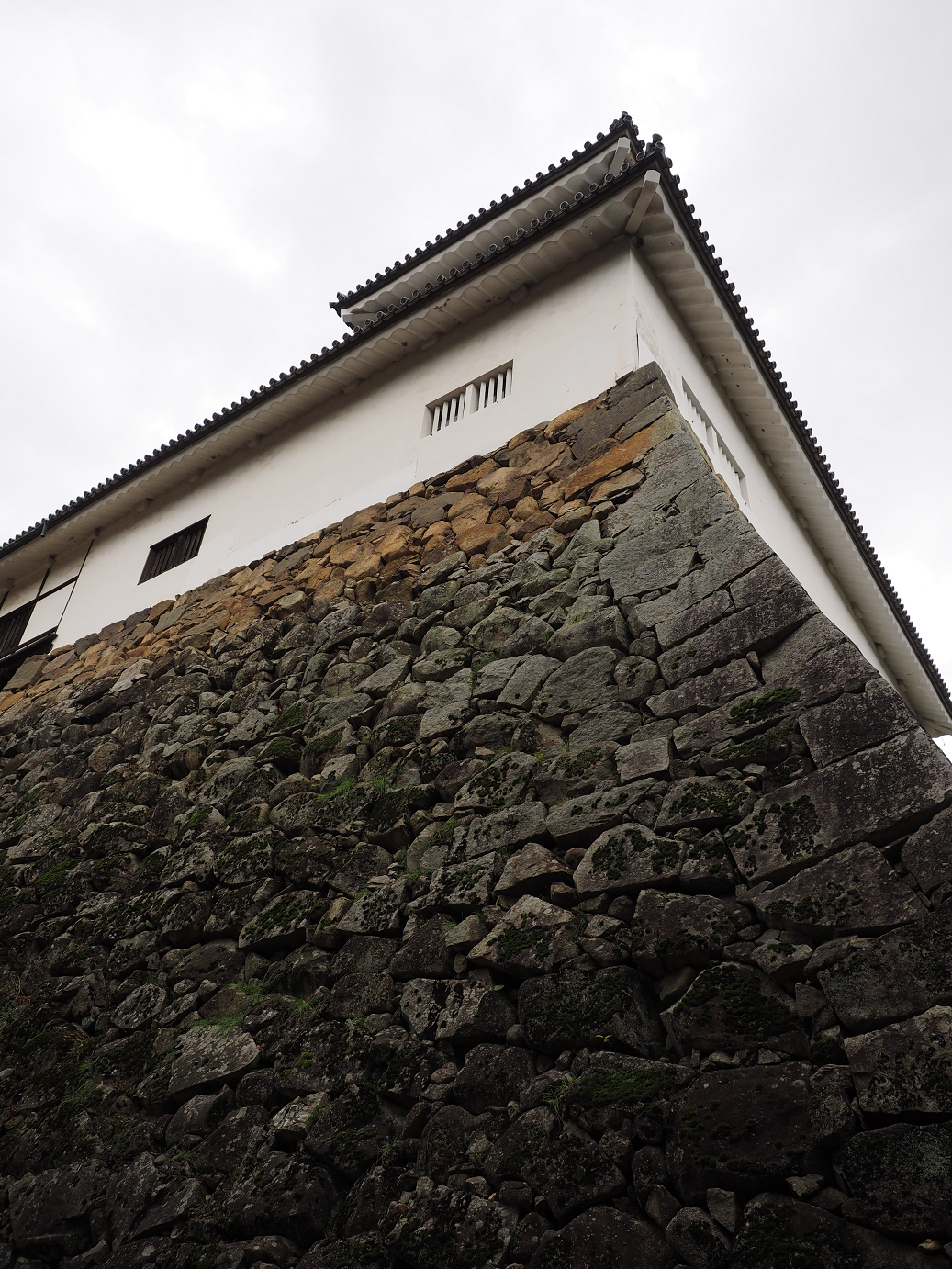 PB140763.jpg