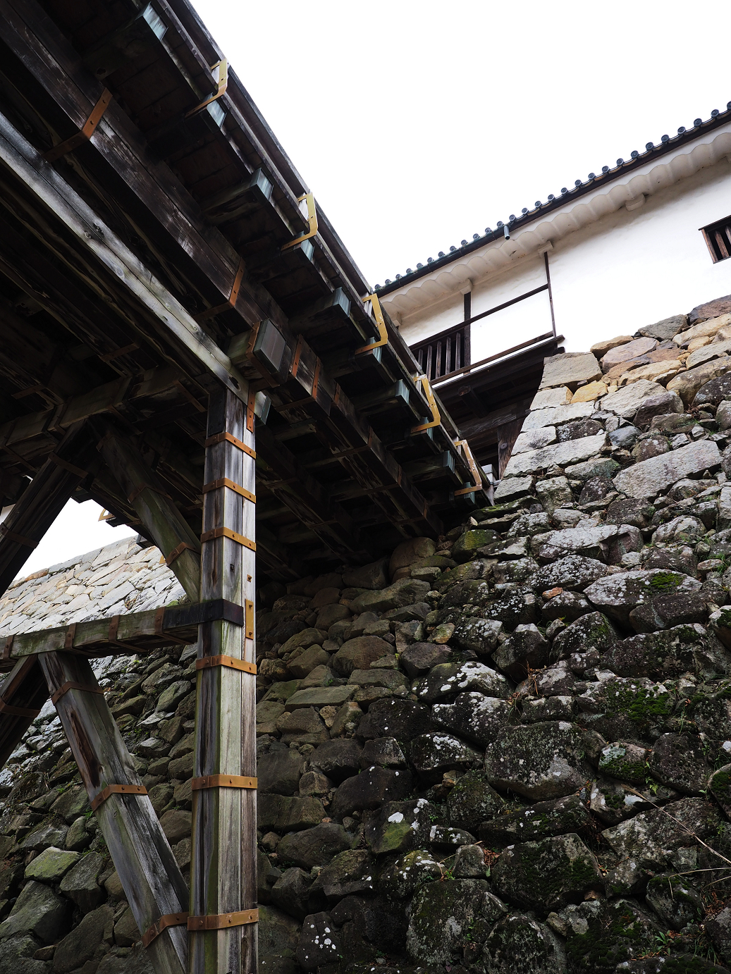 PB140764.jpg