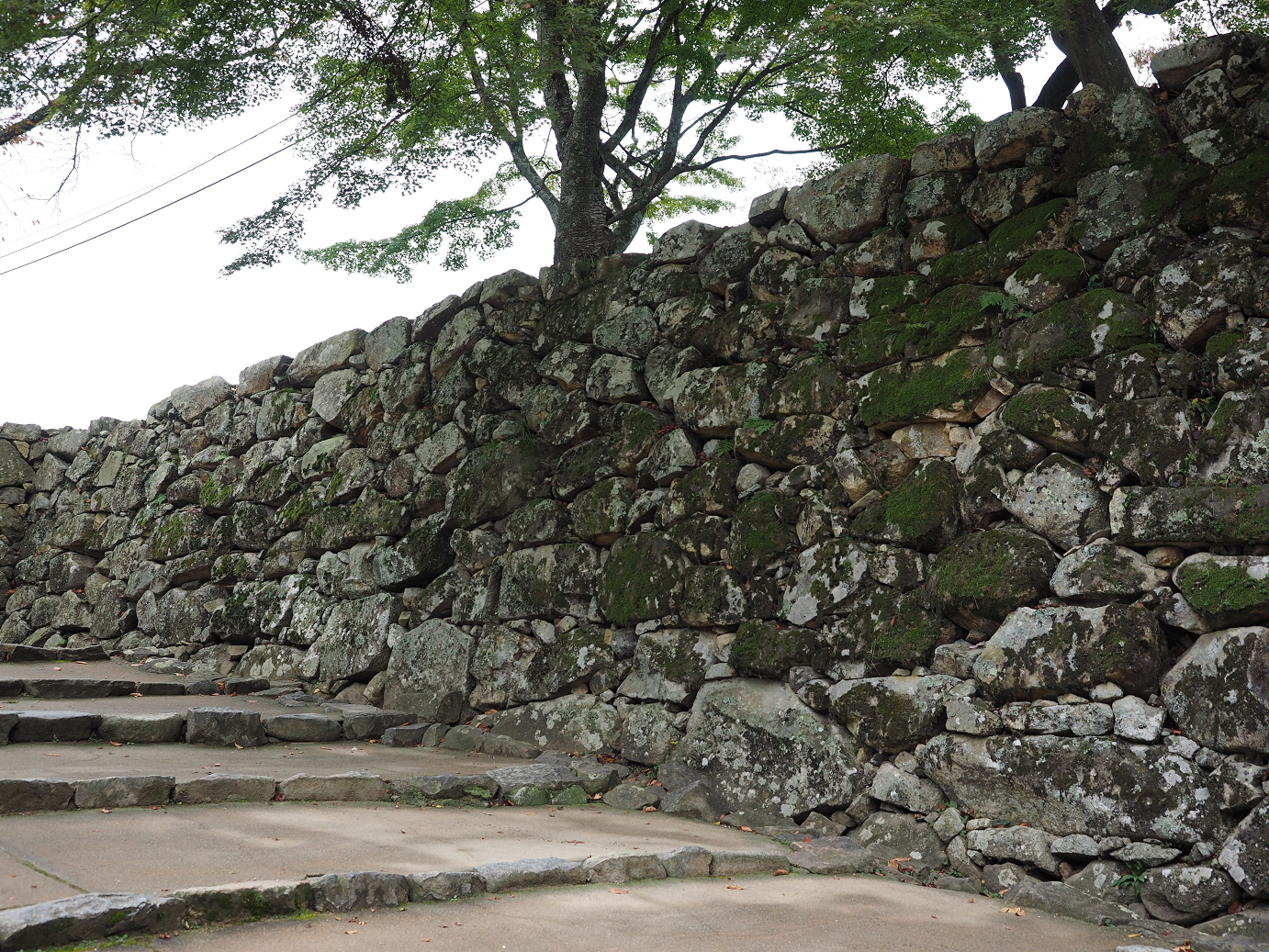 PB140768.jpg