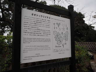 PB140772_thumb.png
