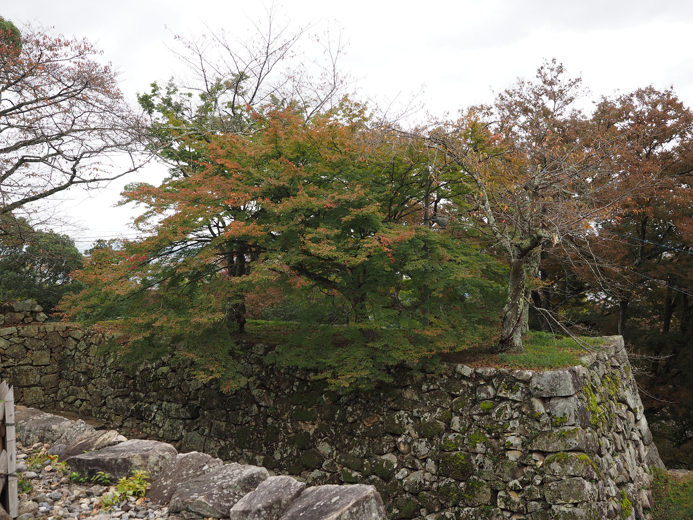 PB140775.jpg