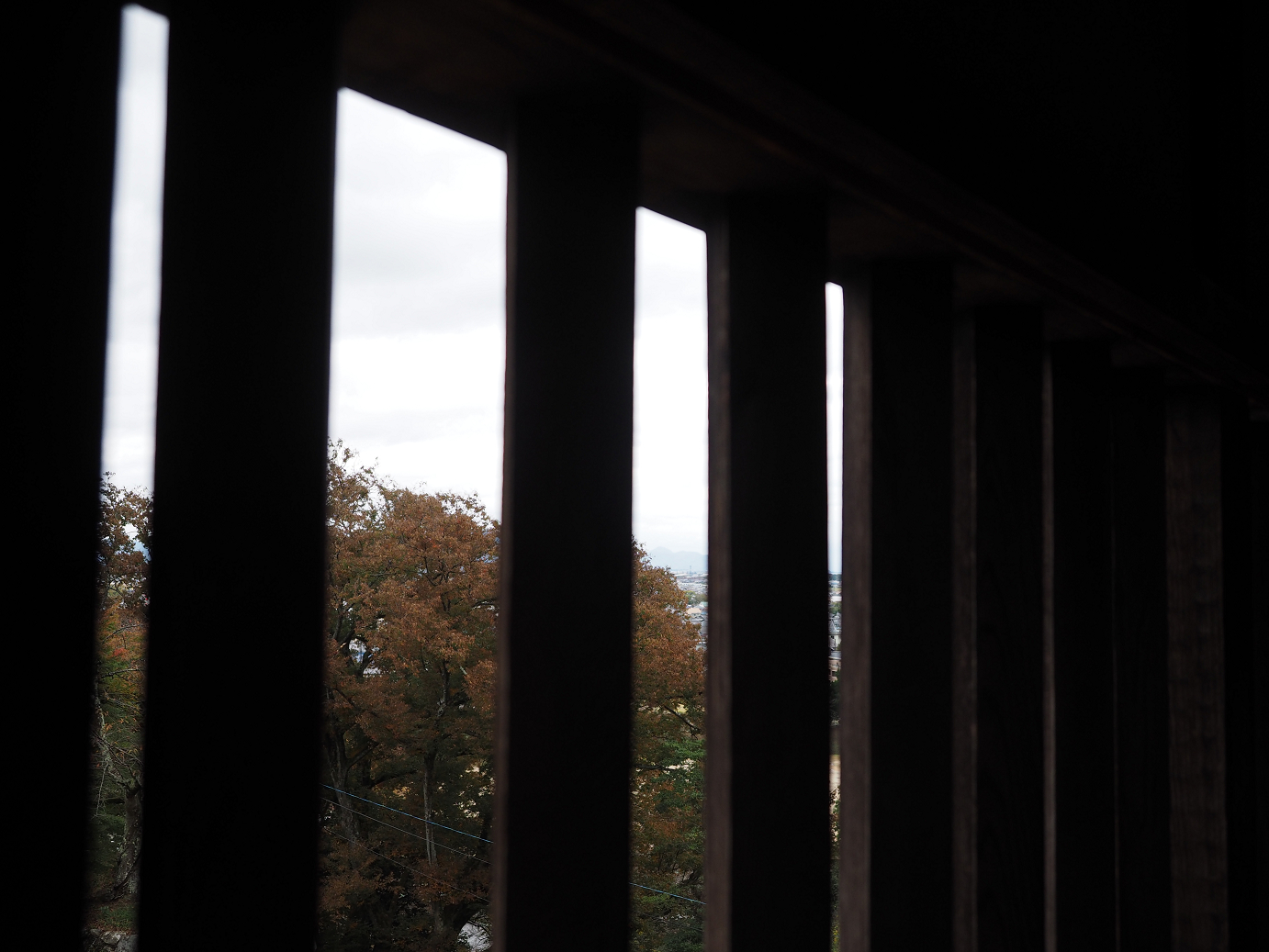 PB140781.jpg