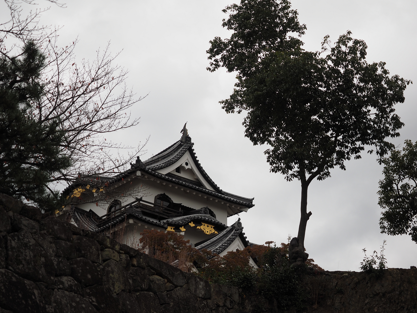 PB140790.jpg