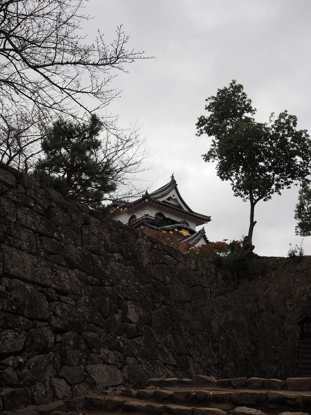PB140791.jpg