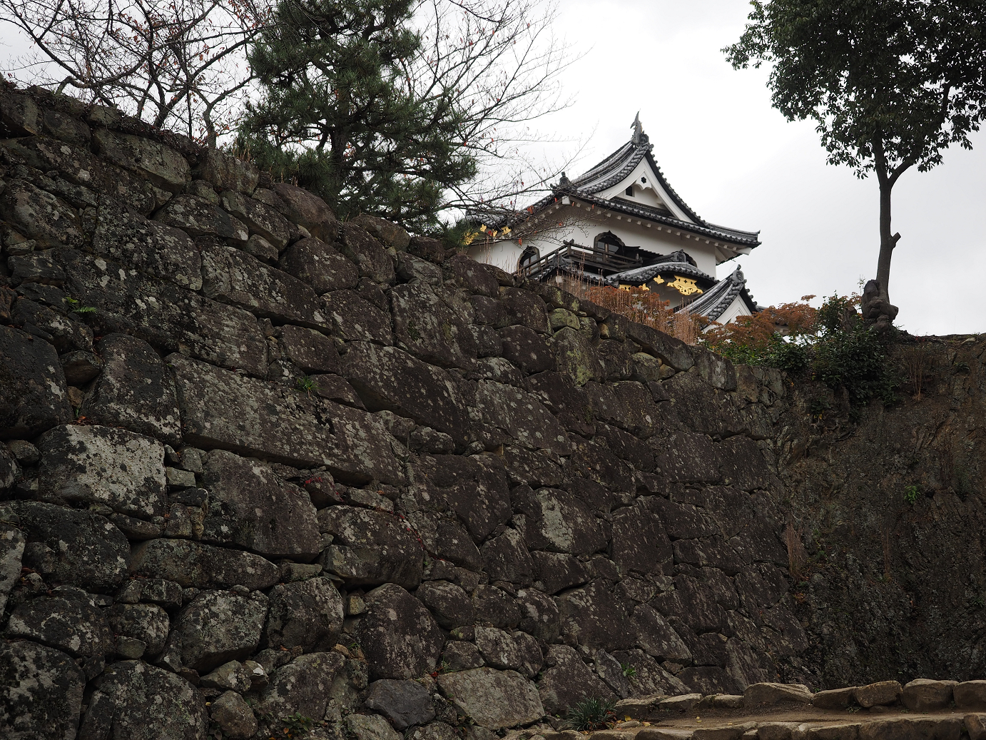 PB140793.jpg