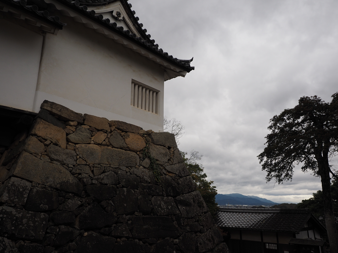 PB140796.jpg