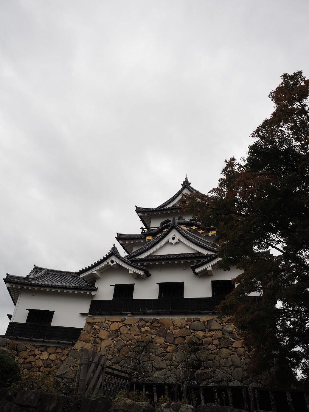 PB140827.jpg