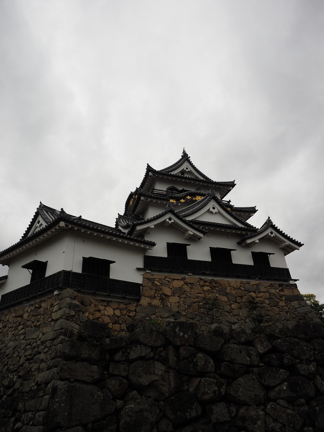 PB140837.jpg