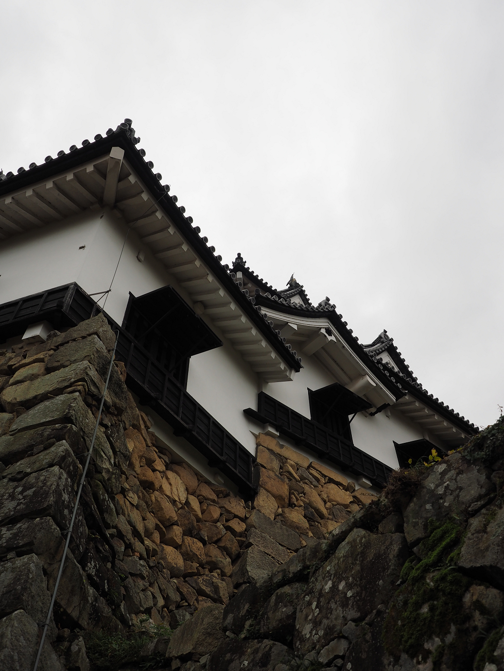 PB140839.jpg