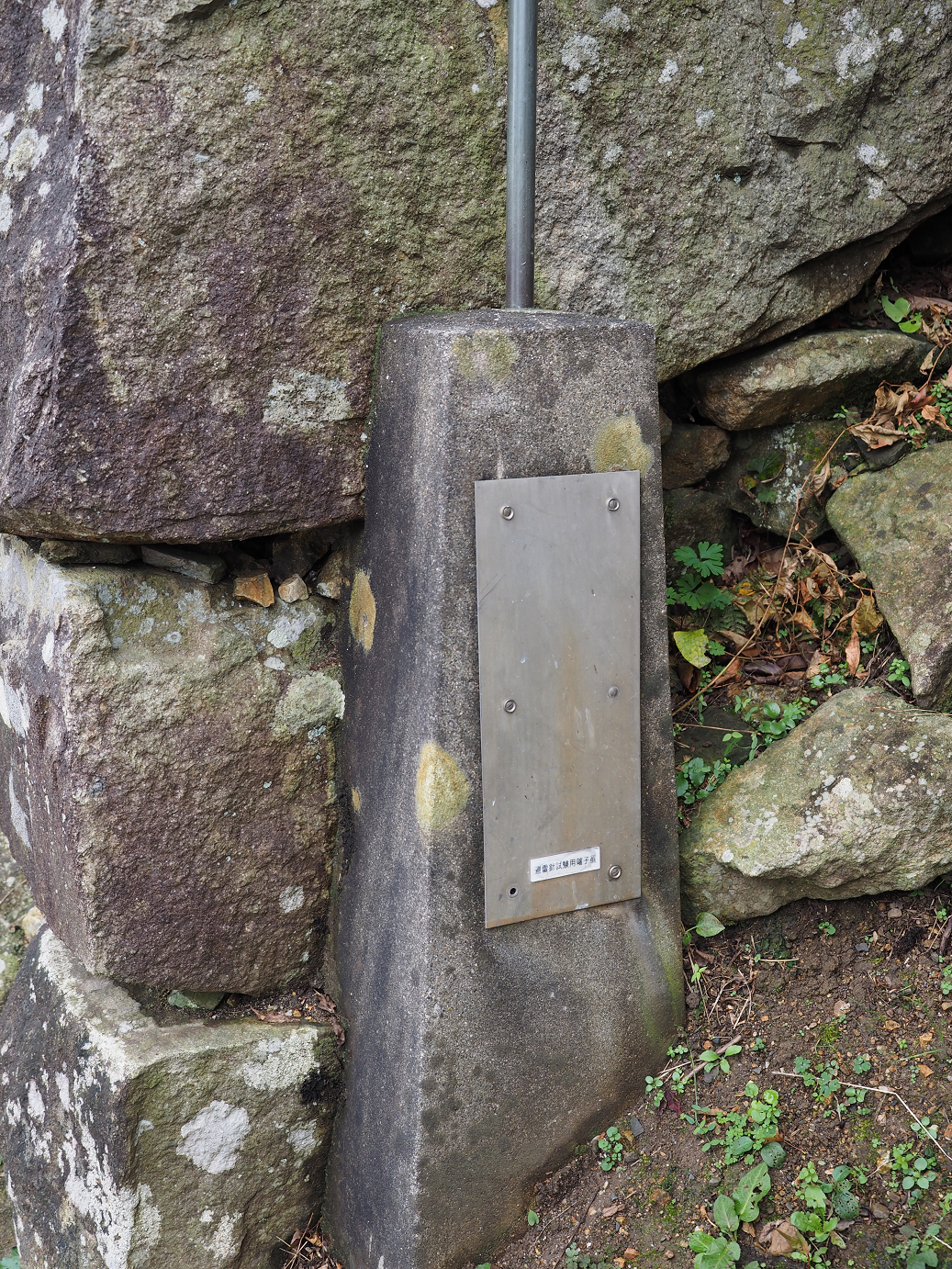 PB140841.jpg