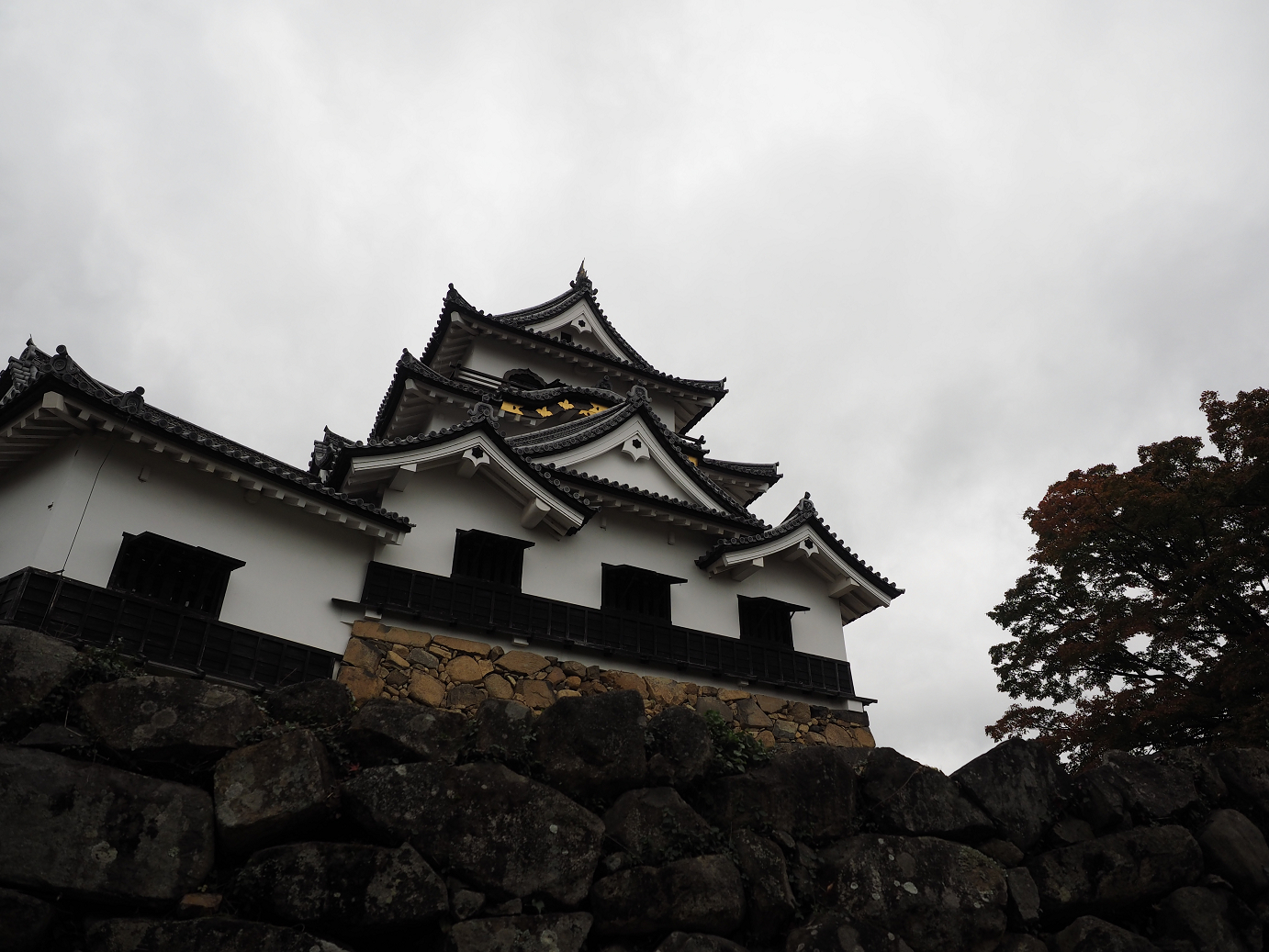 PB140849.jpg