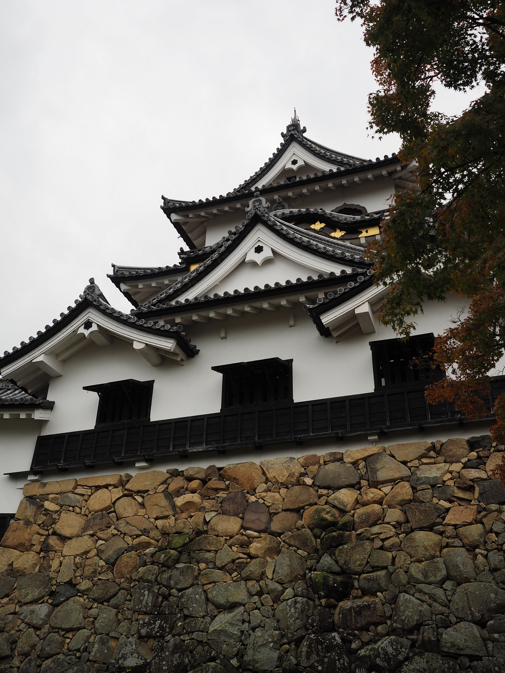 PB140853.jpg