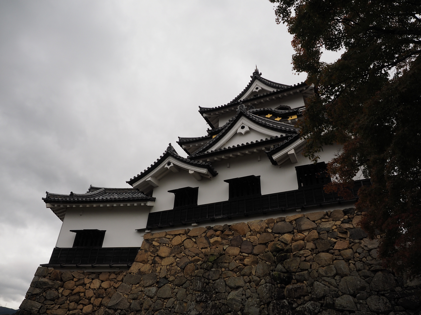 PB140854.jpg