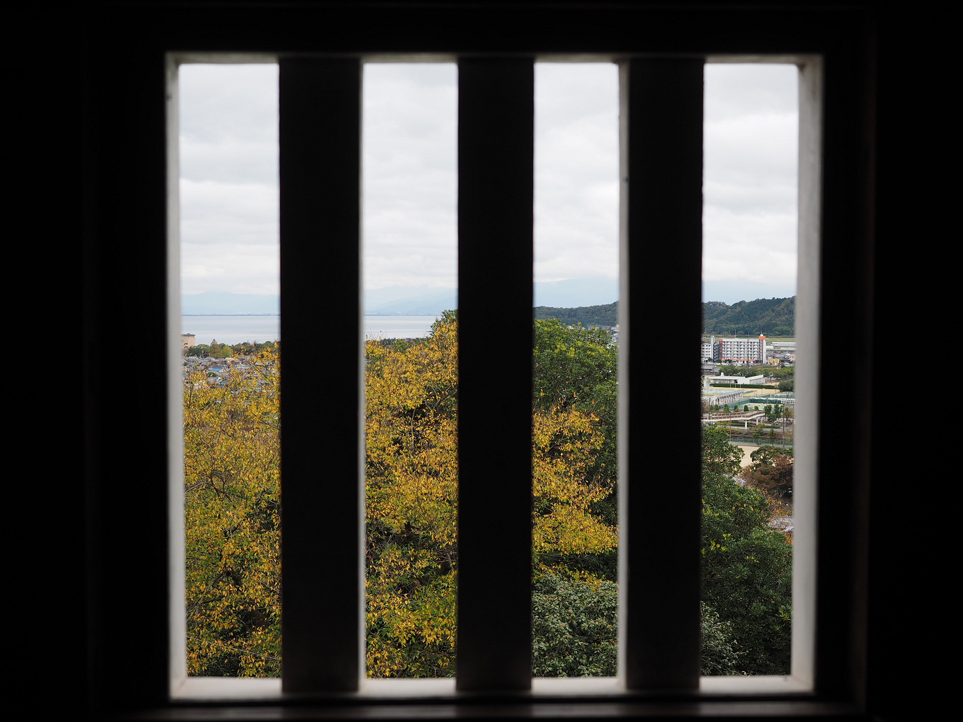 PB140864.jpg