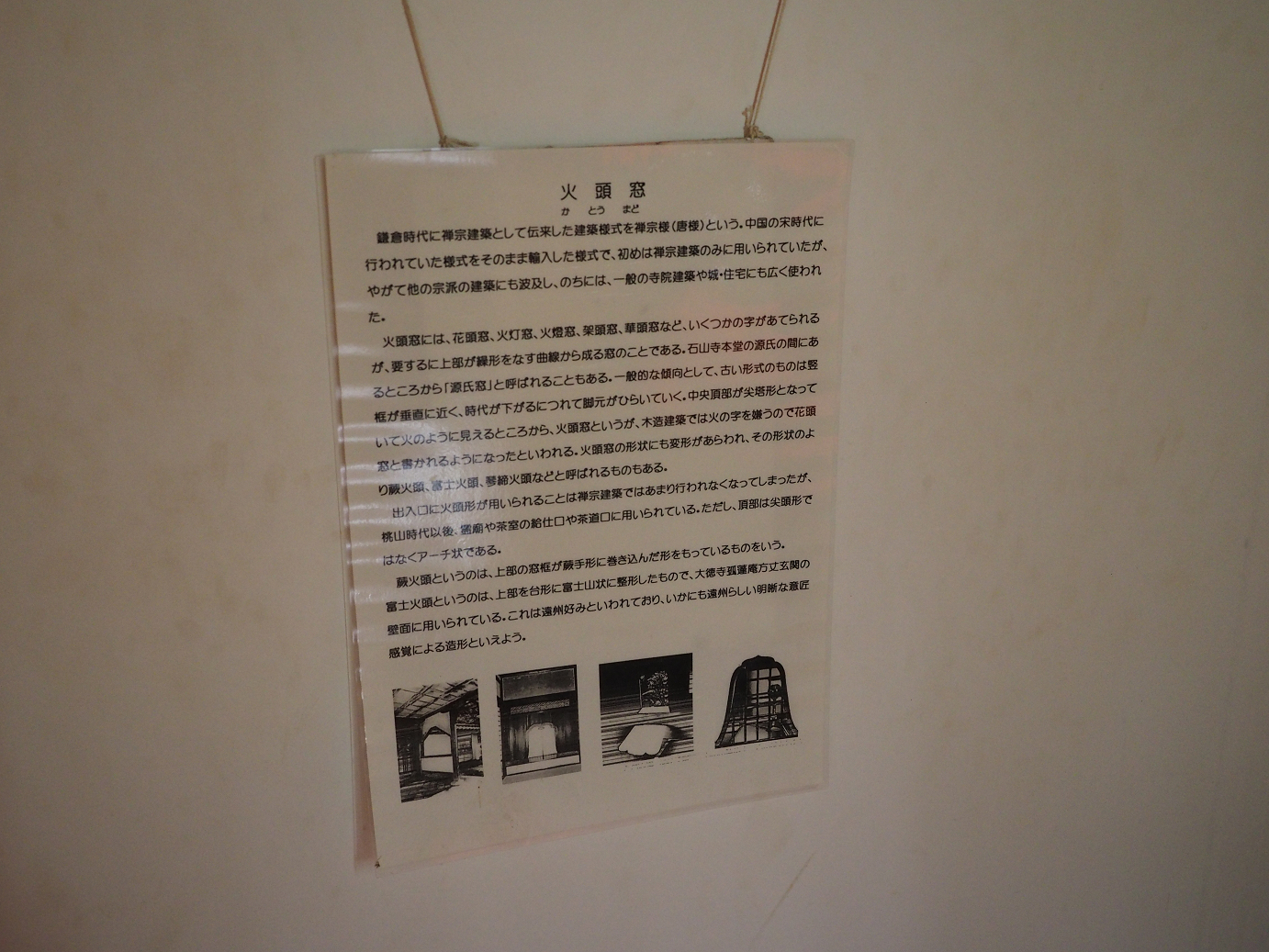 PB140874.jpg