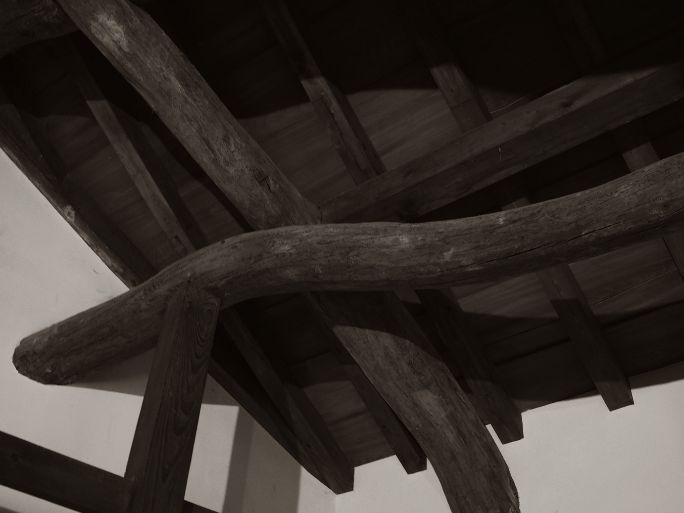 PB140875.jpg